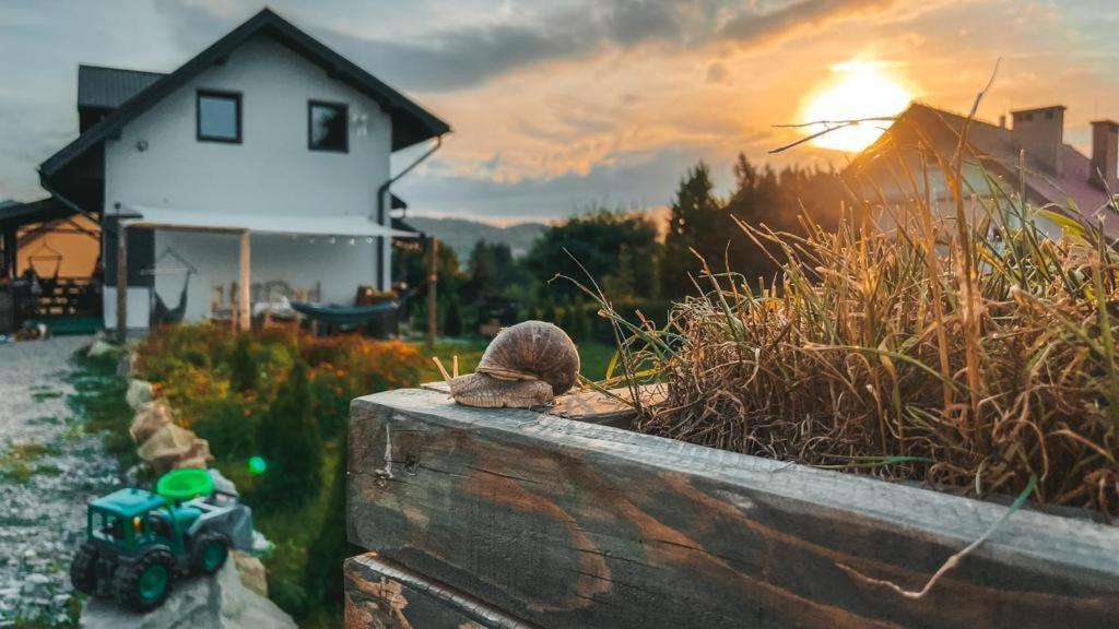 Magiczny Przystanek Lägenhet Myczków Exteriör bild